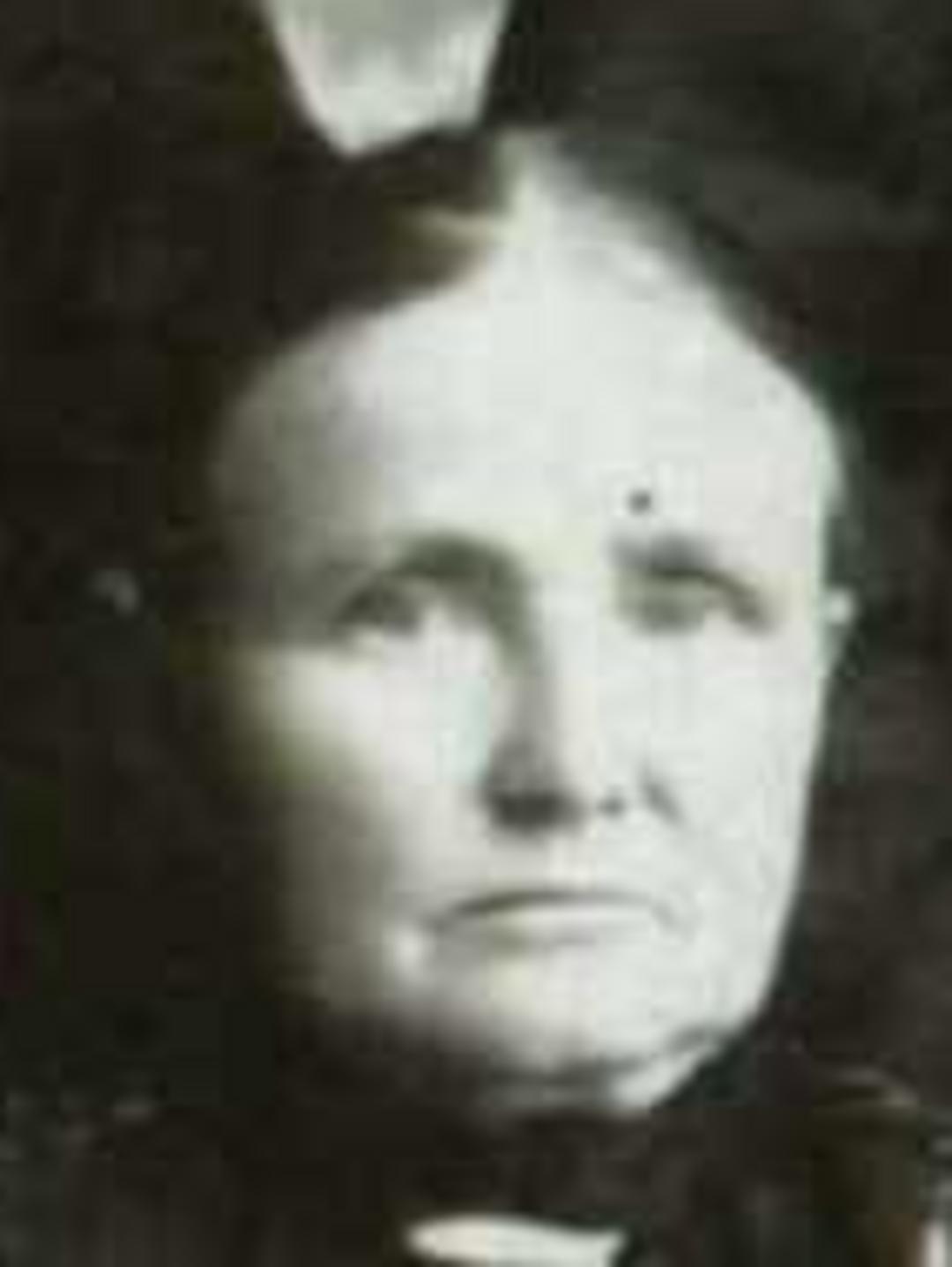 Ellen Bennett (1845 - 1927) Profile